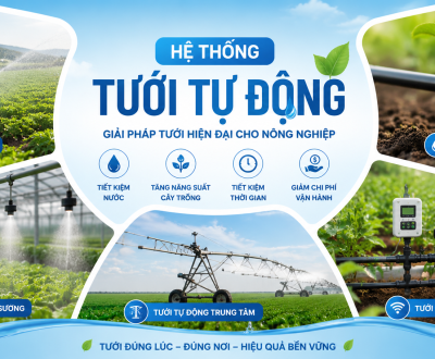Các hệ thống tưới nước tự động tiết kiệm