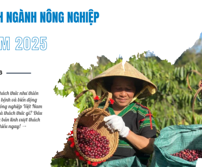 Nông nghiệp Việt Nam 2025